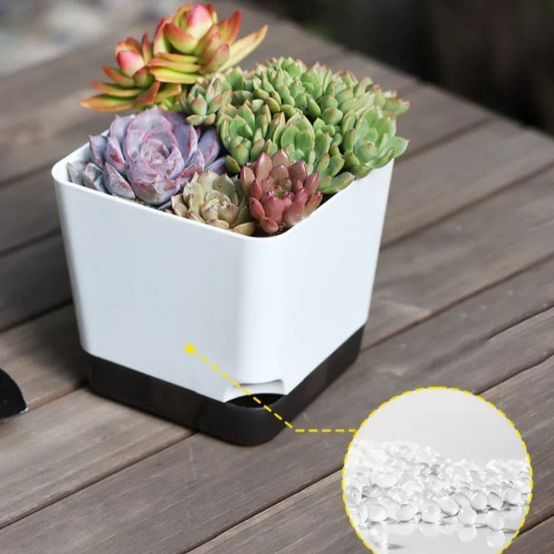 5Pcs Self Watering Plant Pots with Drainage Saucer Indoor Outdoor