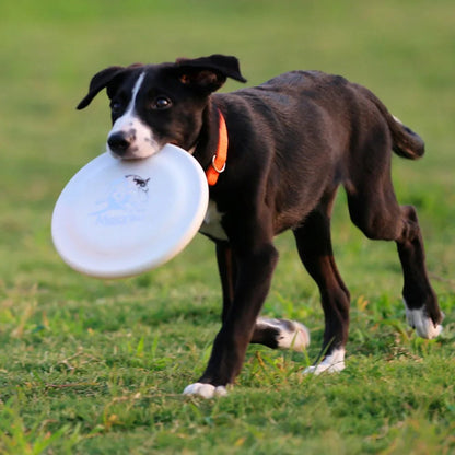 Durable Lightweight Dog Training Disc - Pet Exercise Frisbee Toy