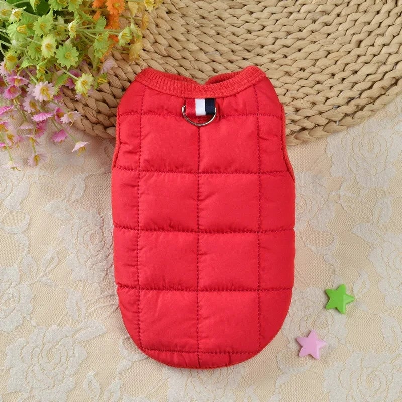 Windproof Padded Winter Dog Coat - Warm Jacket for Small Dogs