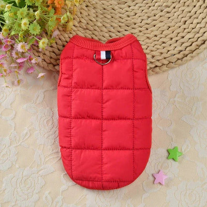 Windproof Padded Winter Dog Coat - Warm Jacket for Small Dogs