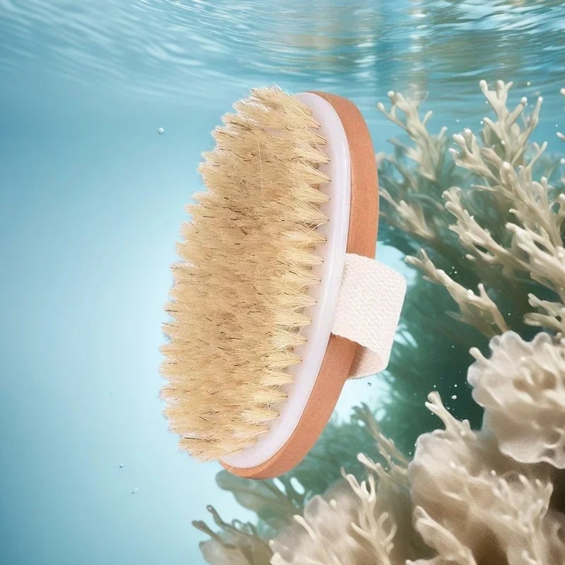 Natural Bristle Wooden Body Brush for Dry Skin Exfoliation