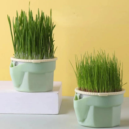 Cat Grass Growing Kit - Hydroponic Germination Pot for Pet Digestion
