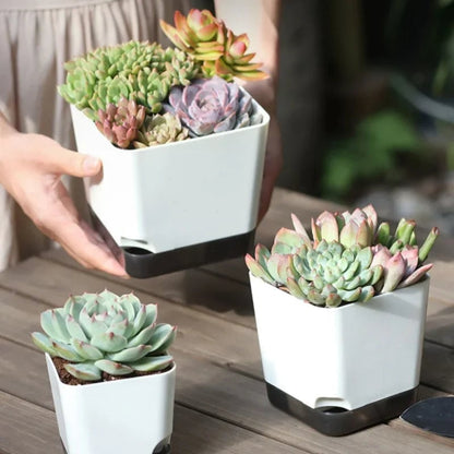 5Pcs Self Watering Plant Pots with Drainage Saucer Indoor Outdoor