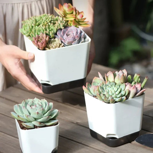 5Pcs Self Watering Plant Pots with Drainage Saucer Indoor Outdoor