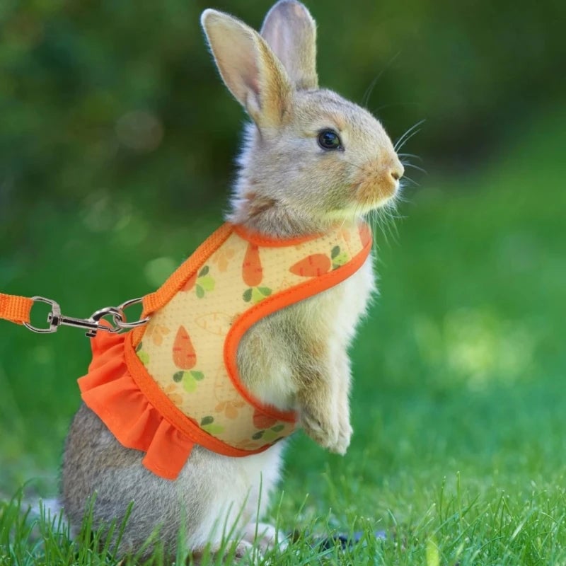 Adjustable Mesh Rabbit Harness Leash - Breathable Vest for Bunnies