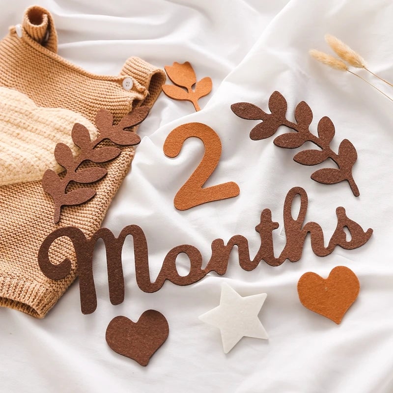 Baby Milestone Cards Felt 0-12 Months Photography Newborn Gift Set