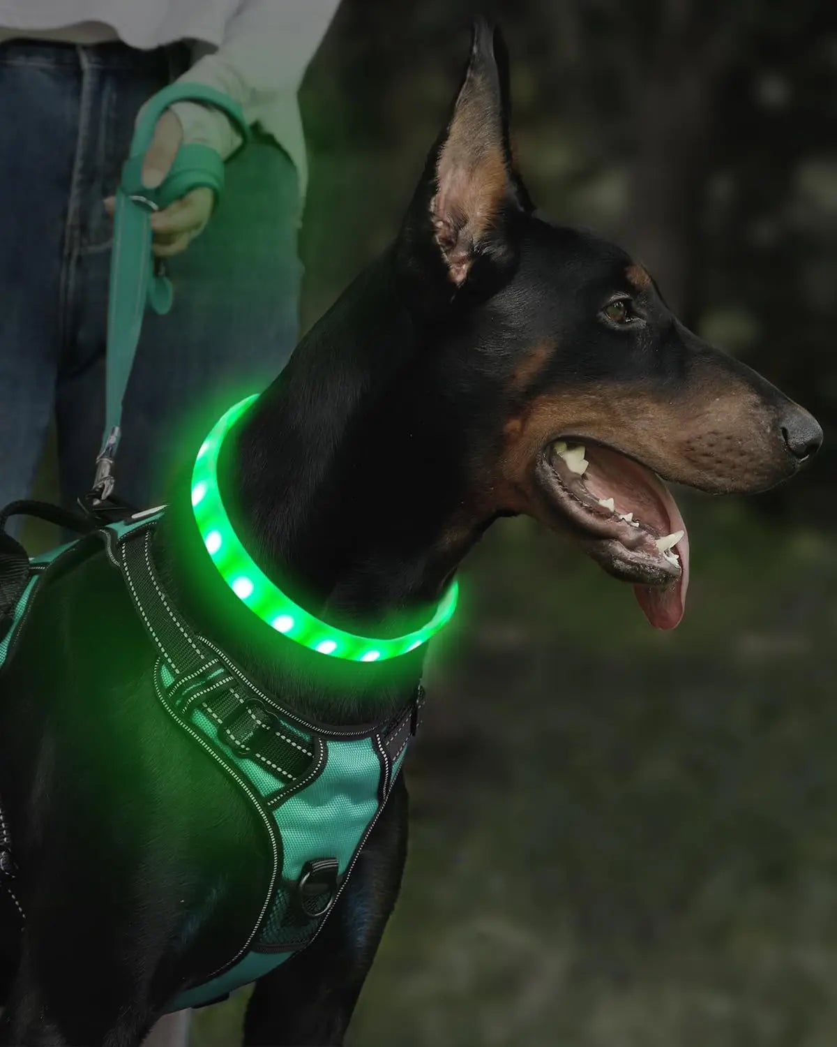 USB Rechargeable LED Dog Collar 9 Flashing Modes Soft Silicone