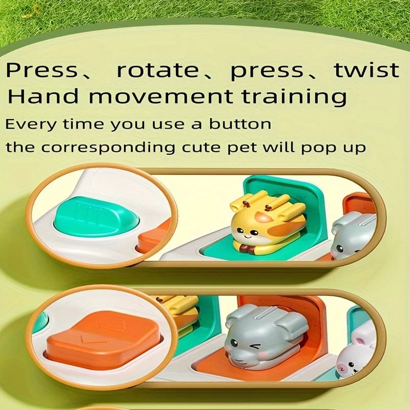 Montessori Pop-Up Animal Learning Box - Logic & Motor Skills Toy