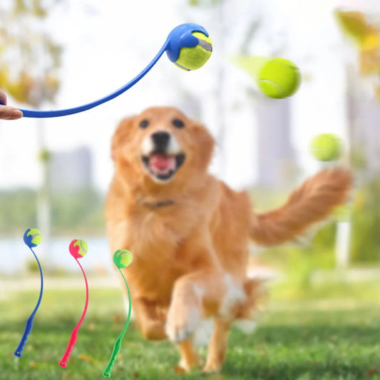Pet Ball Launcher Stick - Hands-Free Dog Ball Thrower & Retriever