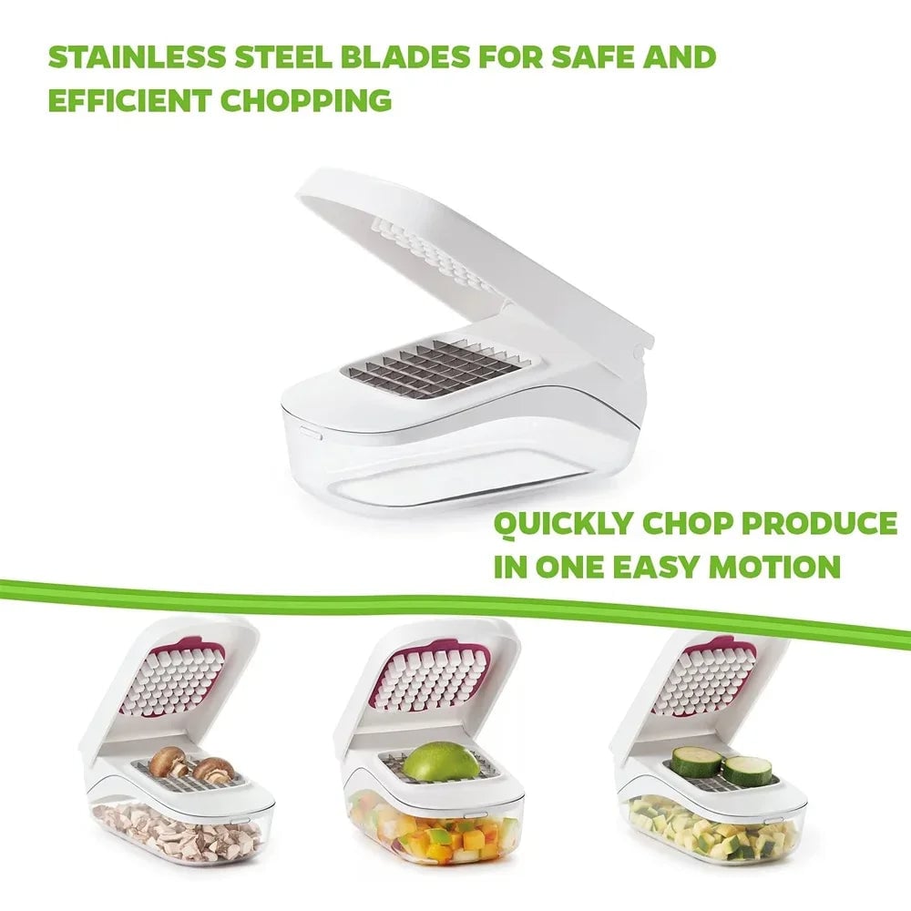 Stainless Steel Vegetable Chopper Dicer with Storage Container