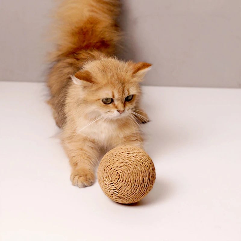 Interactive Sisal Cat Scratching Ball - Teeth Cleaning Kitten Toy