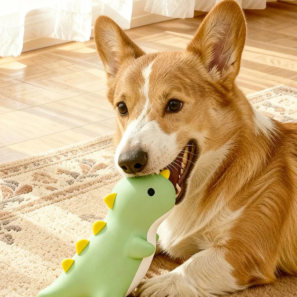 Squeaky Latex Dog Toys - Durable Chew Resistant Interactive Training