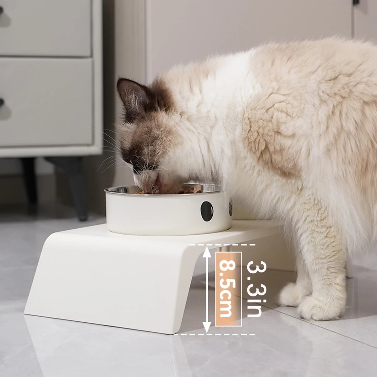 Elevated Dog Feeder Stand Double Stainless Steel Bowls Small Large