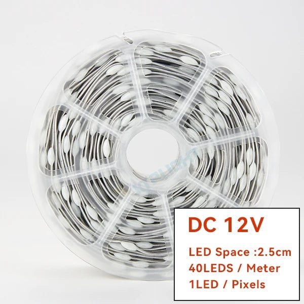 WS2811 RGBIC LED Strip 12V/5V Addressable Christmas Fairy Lights