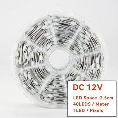 WS2811 RGBIC LED Strip 12V/5V Addressable Christmas Fairy Lights