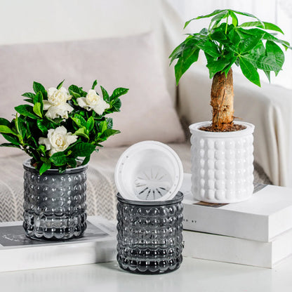 Self Watering Hydroponic Planter - Plastic Succulent Pot Tabletop