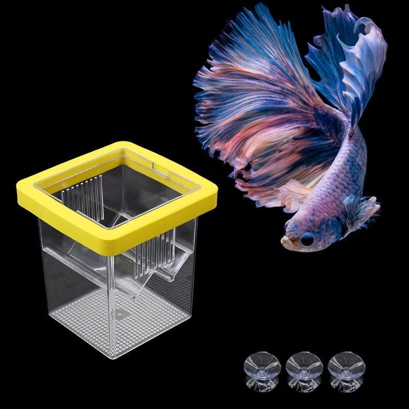 High Clear Multifunctional Fish Breeding Isolation Box Double Guppy