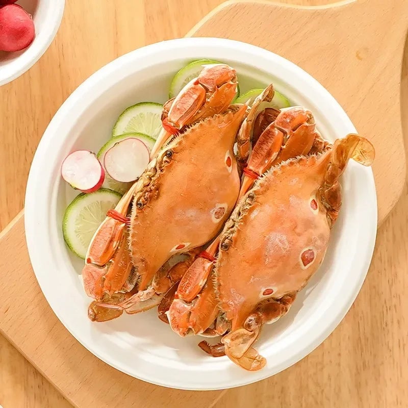 50PCS Waterproof Oil Resistant Round Paper Plates Disposable