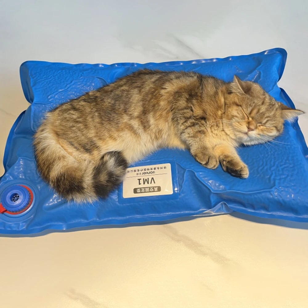 Vacuum Animal Surgical Positioning Mat - Veterinary Examination Pad