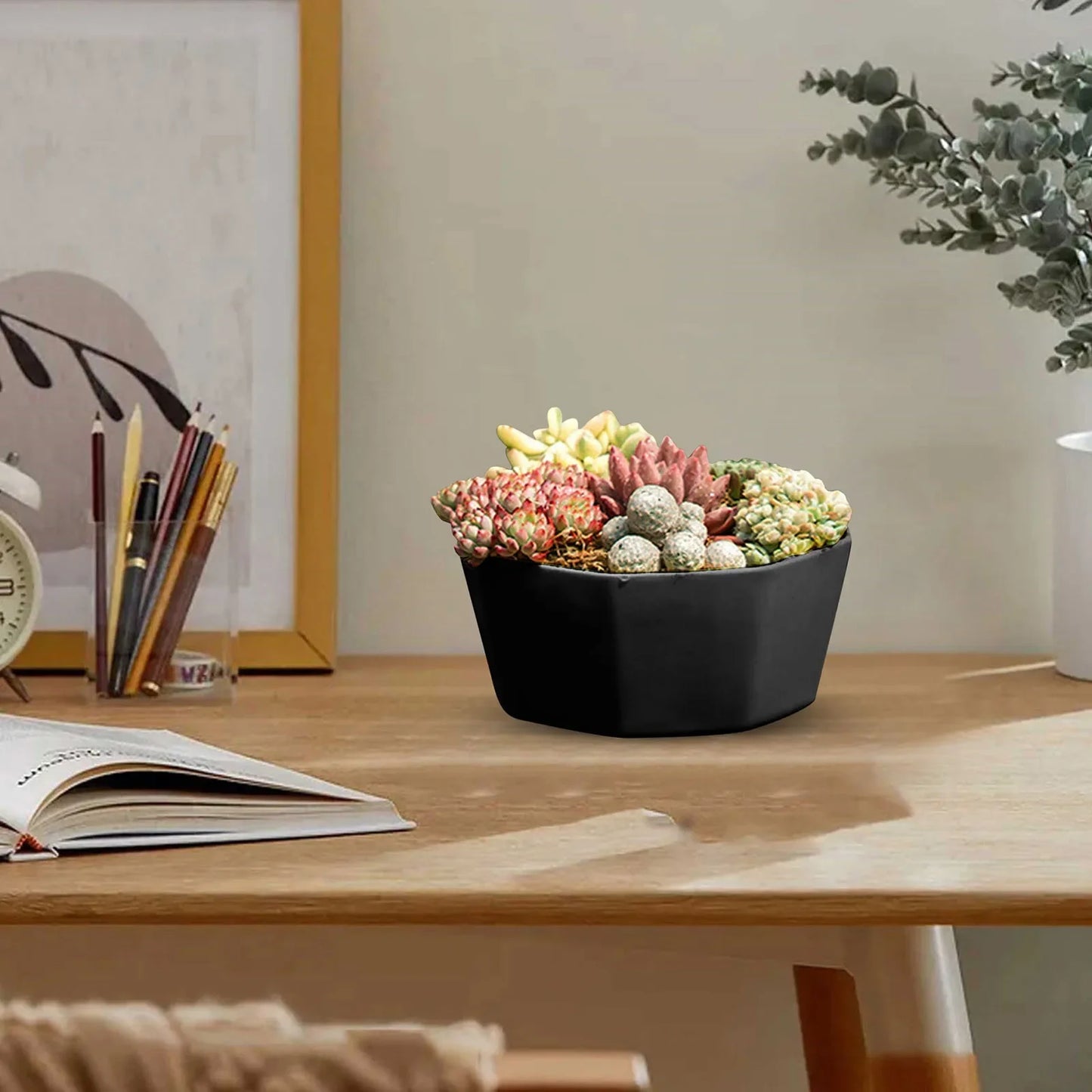 Plastic Plant Pots with Drainage Holes & Saucers Set 1/3/4pcs Indoor