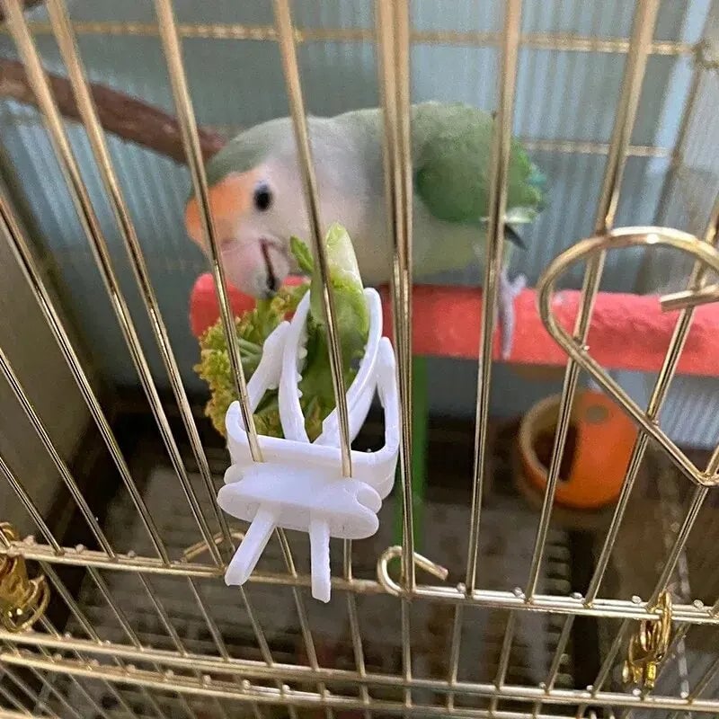 Parrot Food Holder Clip - Fruit Vegetable Cuttlefish Bone Feeder