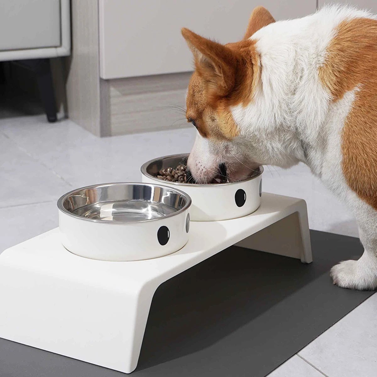 Elevated Dog Feeder Stand Double Stainless Steel Bowls Small Large