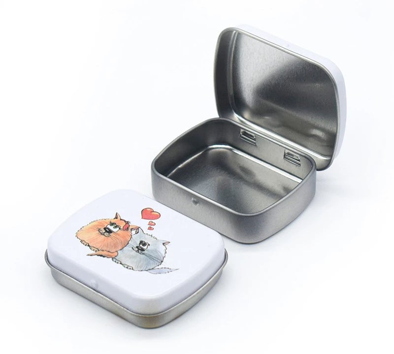 Portable Mini Metal Hinged Tin Box - Small Rectangular Storage Container