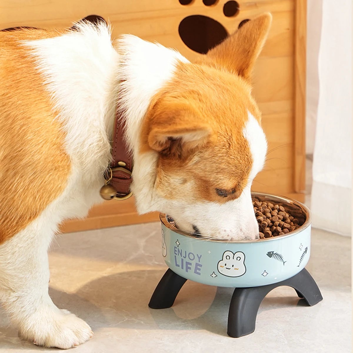Raised Stainless Steel Pet Bowl - Elevated Dog Cat Feeder Stand