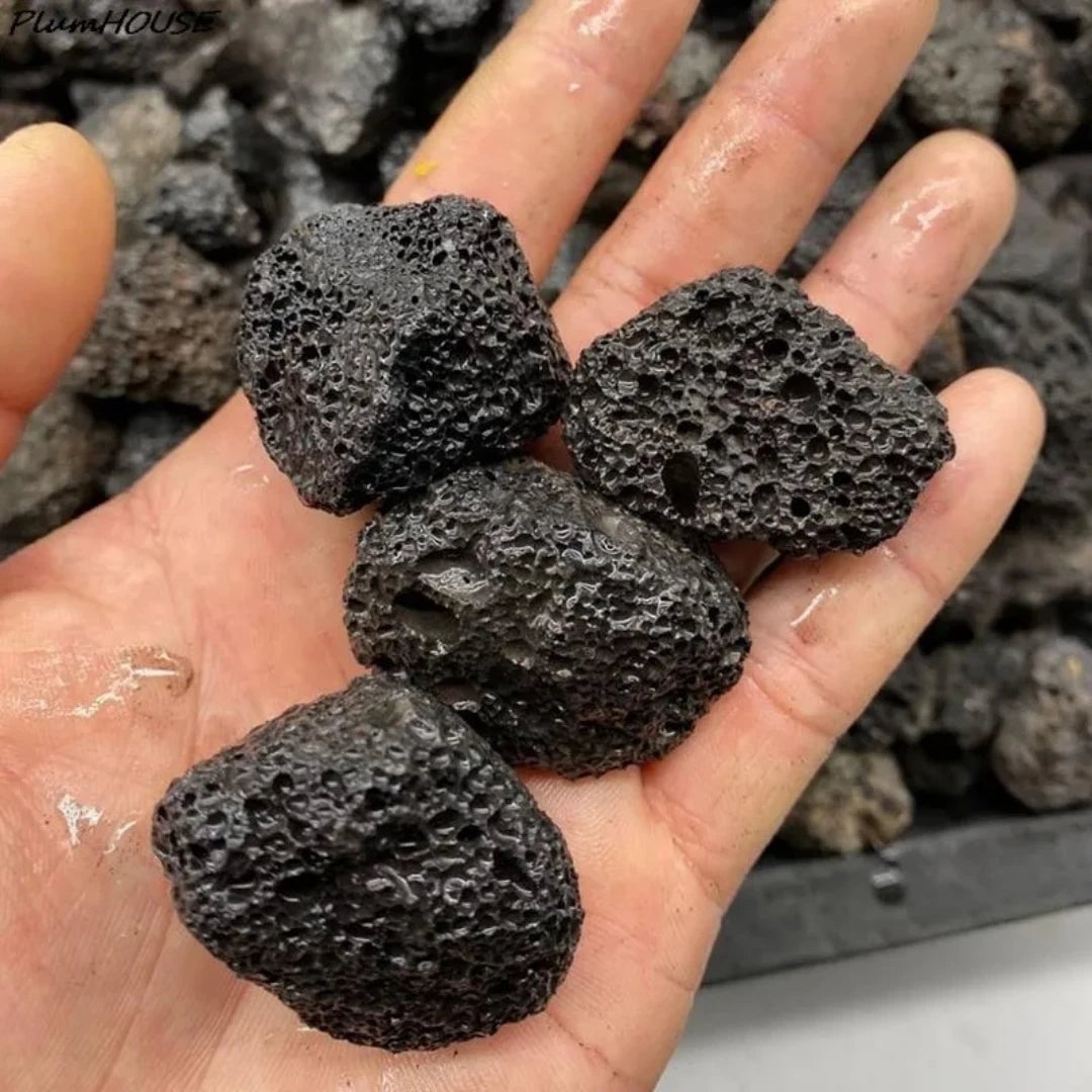 Natural Volcanic Rock Stone Aquarium Decor 40g 120g 240g Specimen