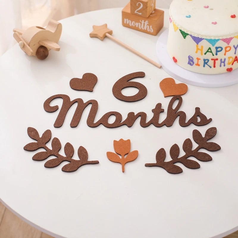 Baby Milestone Cards Felt 0-12 Months Photography Newborn Gift Set