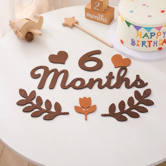 Baby Milestone Cards Felt 0-12 Months Photography Newborn Gift Set