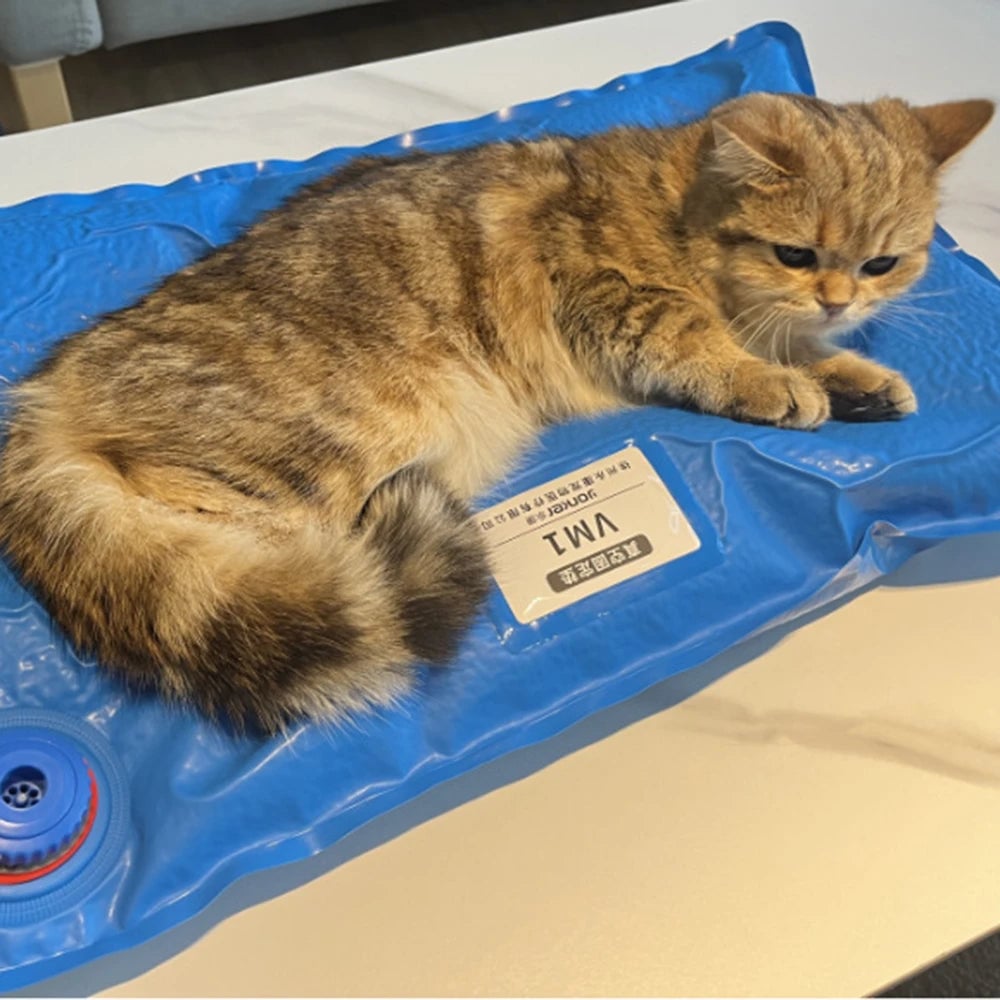 Vacuum Animal Surgical Positioning Mat - Veterinary Examination Pad