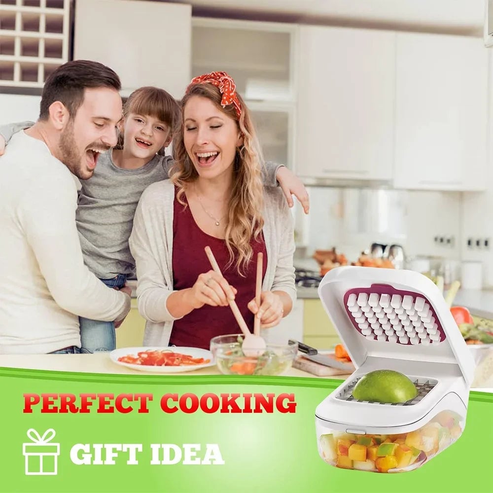 Stainless Steel Vegetable Chopper Dicer with Storage Container
