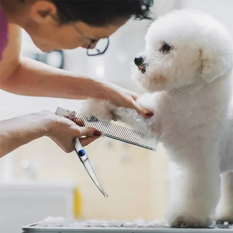 Safety Round Tip Pet Grooming Scissors Stainless Steel Dogs Cats