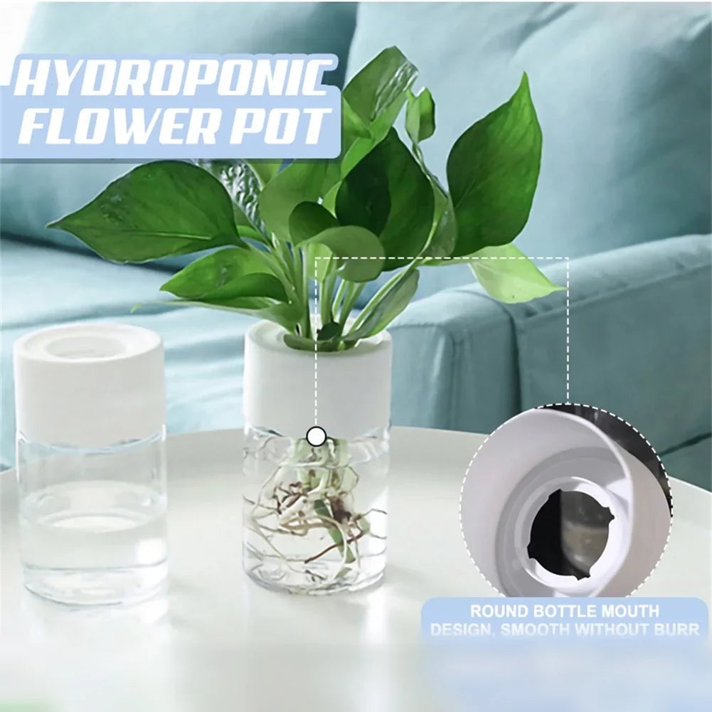 Mini Hydroponic Glass Vase - Transparent Soilless Plant Pot