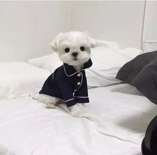 Luxury Summer Dog Pajama - Soft Comfortable Sleepwear for Small Dogs