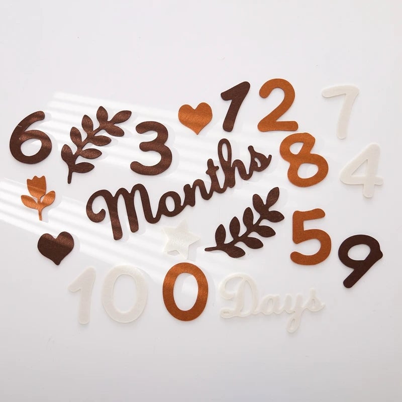 Baby Milestone Cards Felt 0-12 Months Photography Newborn Gift Set