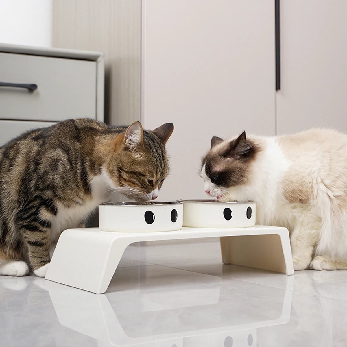 Elevated Dog Feeder Stand Double Stainless Steel Bowls Small Large