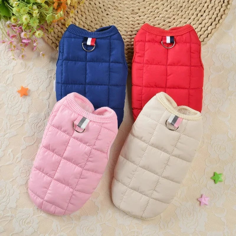 Windproof Padded Winter Dog Coat - Warm Jacket for Small Dogs