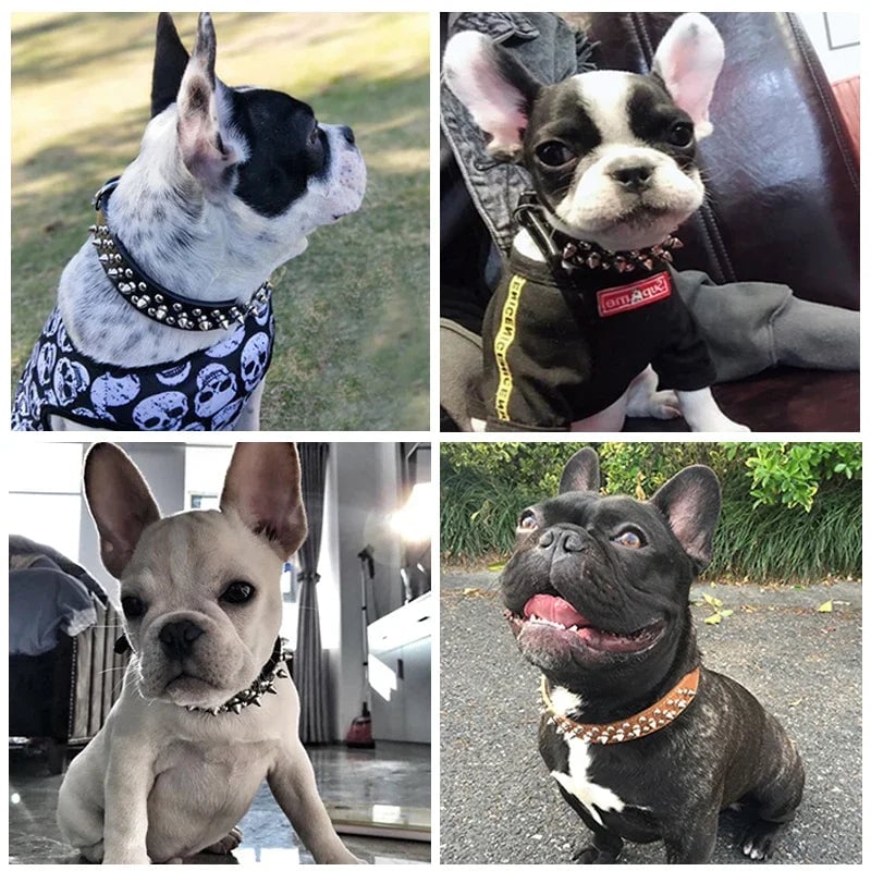 Adjustable PU Leather Spiked Dog Collar - Punk Rivet Design Small Pet