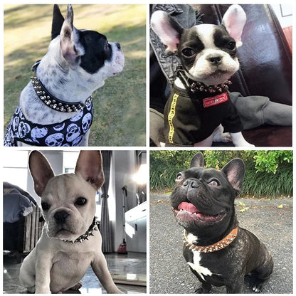 Adjustable PU Leather Spiked Dog Collar - Punk Rivet Design Small Pet