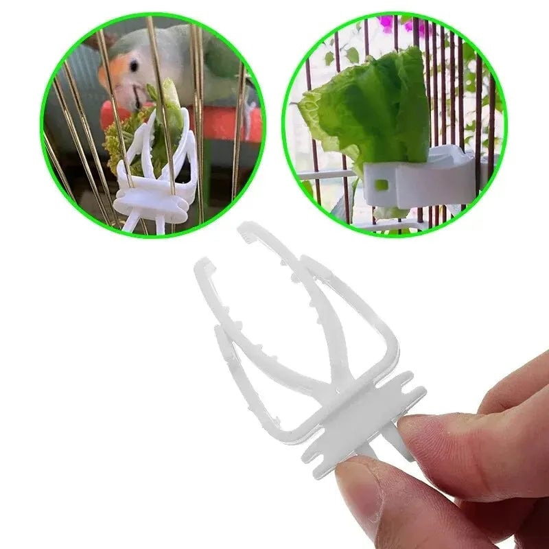 Parrot Food Holder Clip - Fruit Vegetable Cuttlefish Bone Feeder
