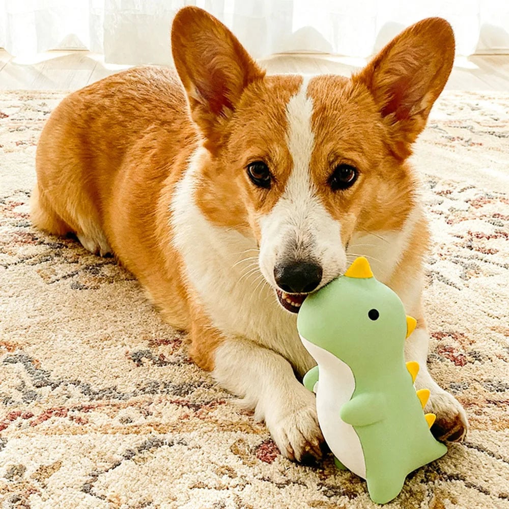 Squeaky Latex Dog Toys - Durable Chew Resistant Interactive Training