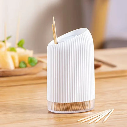 Elegant Toothpick Dispenser - Holds 600 Toothpicks, Portable Reusable