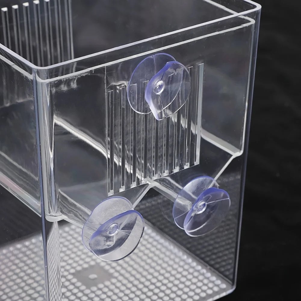 High Clear Multifunctional Fish Breeding Isolation Box Double Guppy