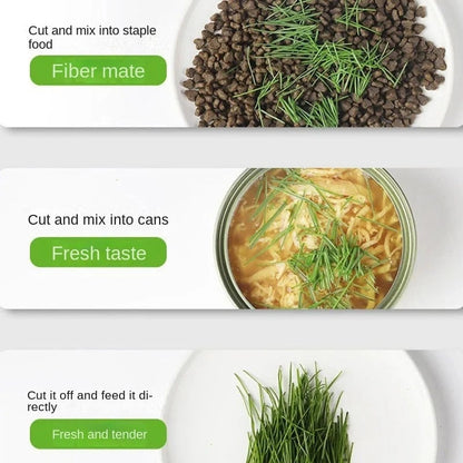 Cat Grass Growing Kit - Hydroponic Germination Pot for Pet Digestion