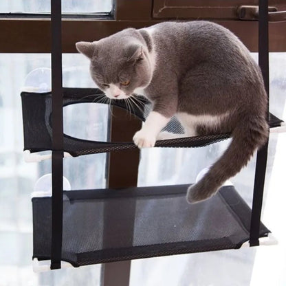 Cat Window Hammock Bed - Double-Decker Suction Cup Wall Mount