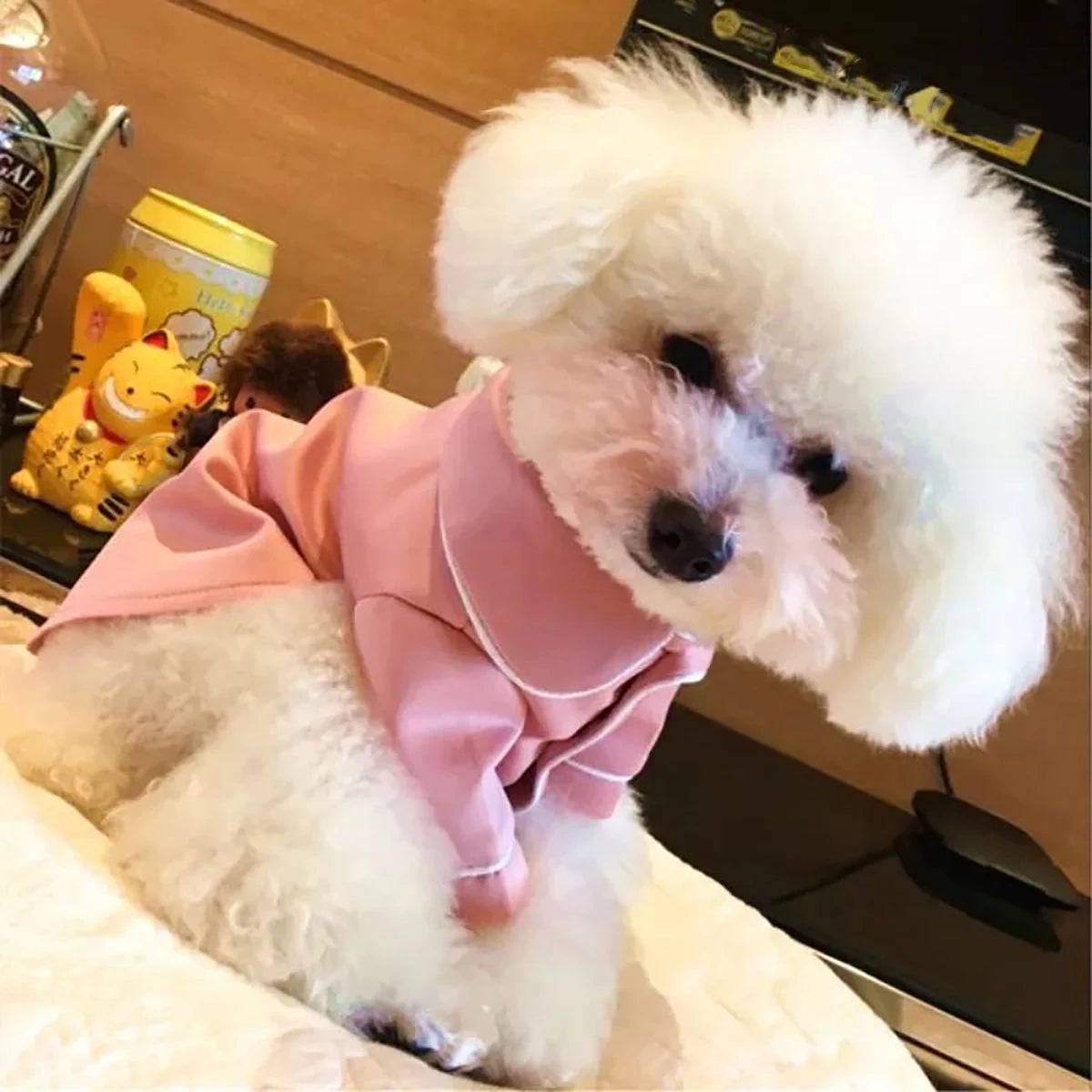 Luxury Summer Dog Pajama - Soft Comfortable Sleepwear for Small Dogs