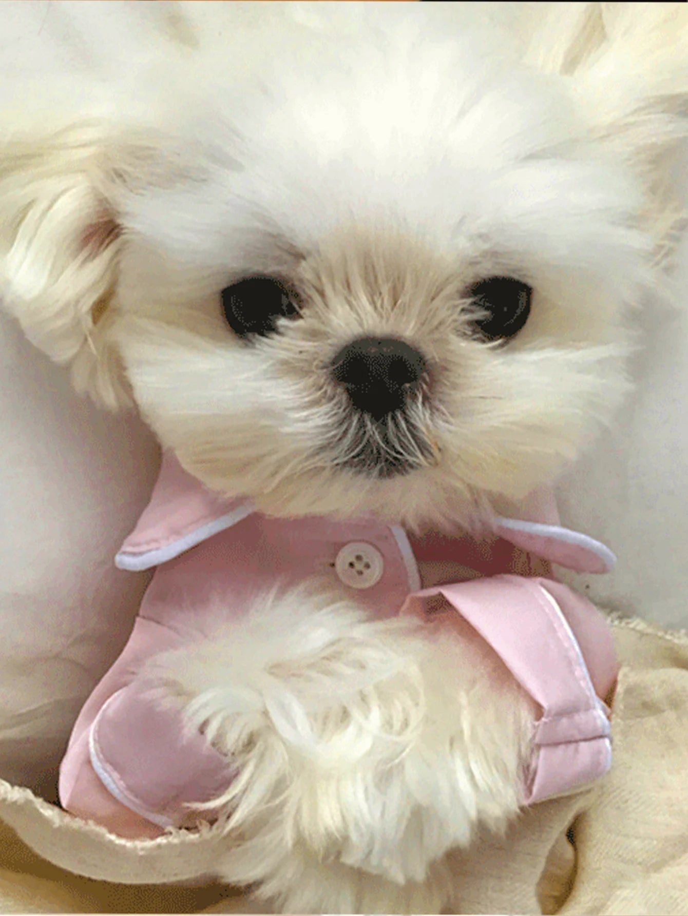 Luxury Summer Dog Pajama - Soft Comfortable Sleepwear for Small Dogs