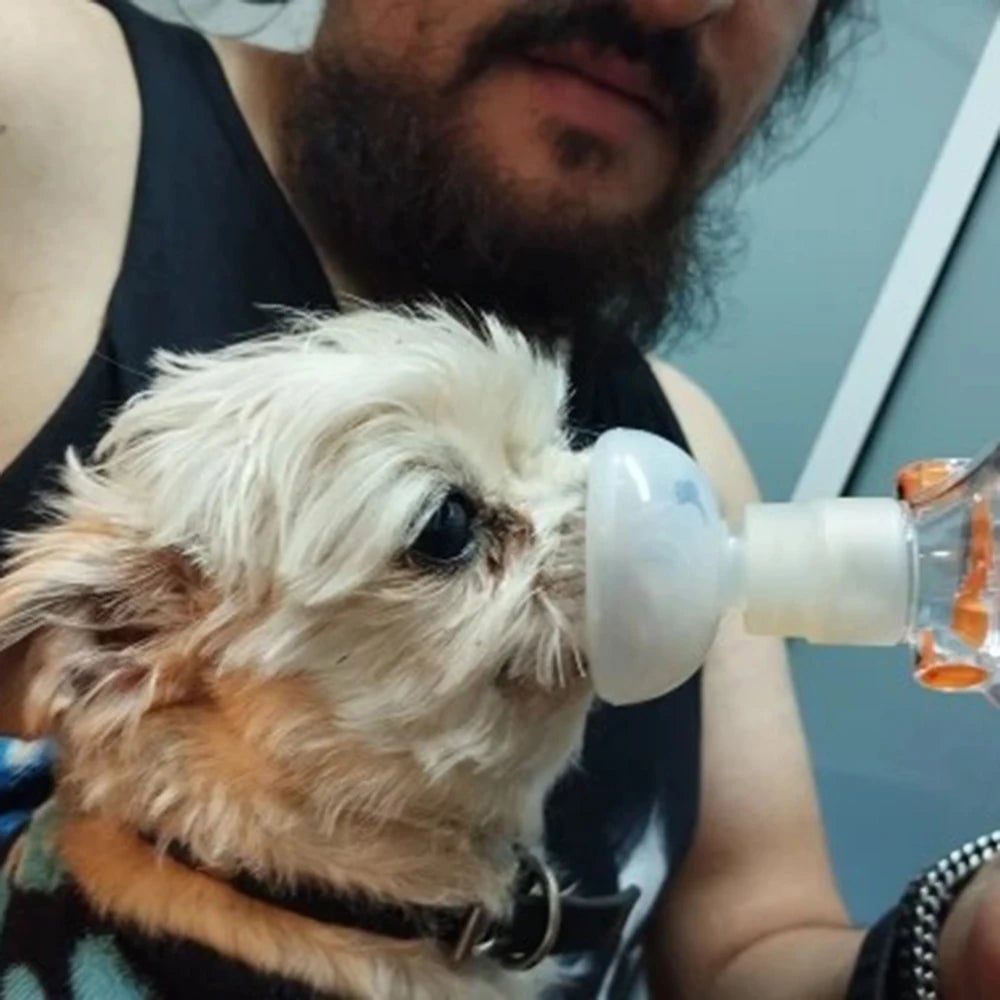 Pet Aerosol Chamber Spacer with Silicone Mask for Cat Dog Inhalation